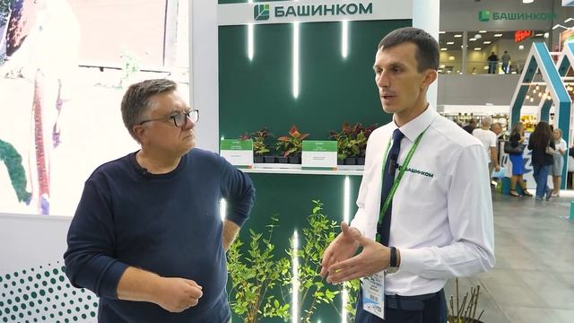 Ведущий Первого канала Андрей Туманов о продукции Баш смотреть онлайн
