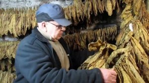 Хранение табака зимой