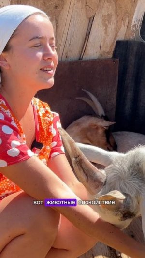 Немного рассуждений