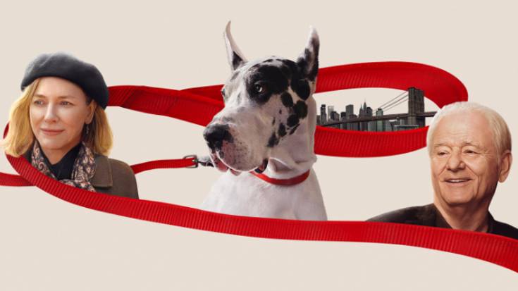 Трейлер фильма - Верный друг (2024) Комедия / Драма смотреть онлайн