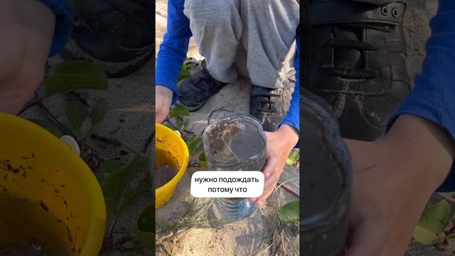 Чем занять детишек на природе? Угольный фильтр для вод смотреть онлайн