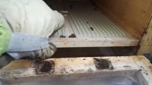 Пыльцесборники для кассетного павильона Берендей. Оп?