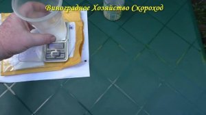 Как развести раствор гиббереллина