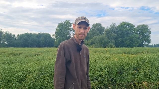 Ждём рекордный урожай в этом сезоне смотреть онлайн