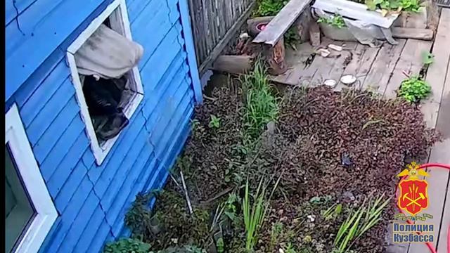 В Березовском полицейские задержали злоумышленника, обворовавшего частный дом смотреть онлайн
