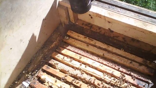 Метод Цебро ВАРАКСИНО Опускание матки в основной корп смотреть онлайн