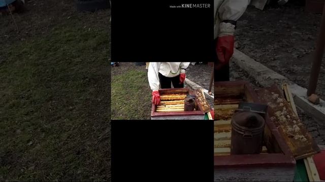 Чистка,осмотр ульев в Марте.После тёплой зимы!!! смотреть онлайн