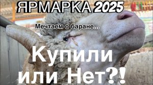 #19 УЕХАЛИ ИЗ ЛАТВИИ В РОССИЮ/ЯРМАРКА/ДЕНЬ УРОЖАЯ 2025