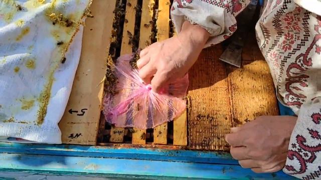 НУ НЕТУ У НАС КЛЕЩА!!! ПОНИМАЕТЕ???  НЕТУ КЛЕЩА!!!  СЕМЬИ З?