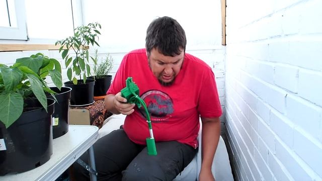 Как вырастить жгучий перец дома? Часть 15. Перец сбрасы? смотреть онлайн