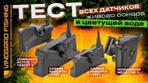 Тест всех датчиков живого сонара по цветущей воде