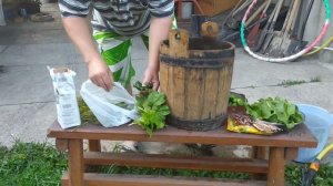 Огурцы в дубовой бочке