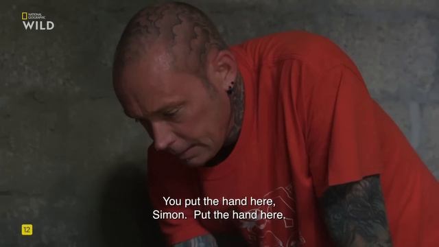 В городе змеи 10 сезон,6 эп. Саймон против королевы