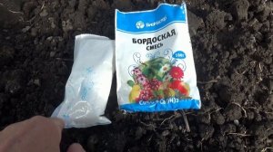 Как приготовить Бордоскую смесь? Что нужно знать?