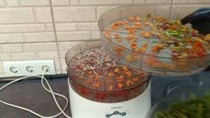 Ароматная Овощная Приправа. Заготовки на Зиму