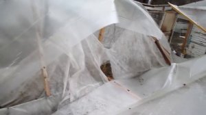 Теплица. Как отремонтировать крышу теплицы? Нужна пом?