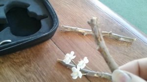 Как работает прививочный секатор