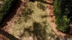 Борофоска — Удобрение, Которое Реально Улучшит Рост Р