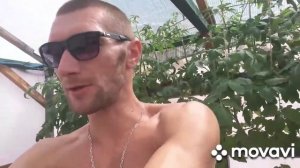 Питательный раствор правило 1/3 Замена на гидропонике