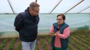 Бизнес на зелени: что выгодно выращивать в теплице