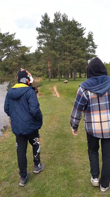 Красивейшие места в Клязьминской пойме наклонное дер? смотреть онлайн