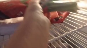 Рассказываю как сохранить срезанные тюльпаны до праз?