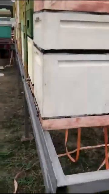 Пчелоприцеп