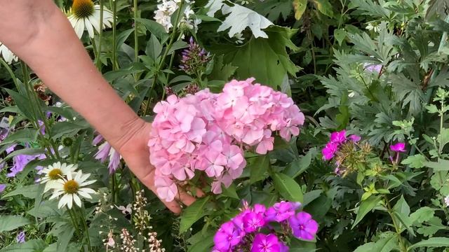 Цвет Яблони и Свит Саммер Фэнтези