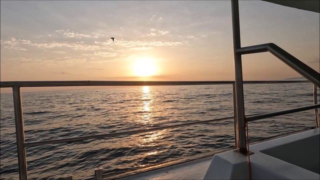 Рыбалка в море Сочи Адлер 2025