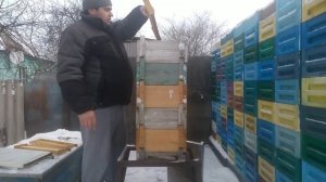 Методика пчеловождения в рогатом улье на 145 рамку.