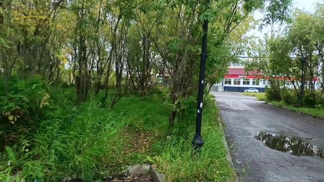 Воркута. 08.09.25. Поселок Воргашор смотреть онлайн