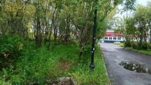 Воркута. 08.09.25. Поселок Воргашор