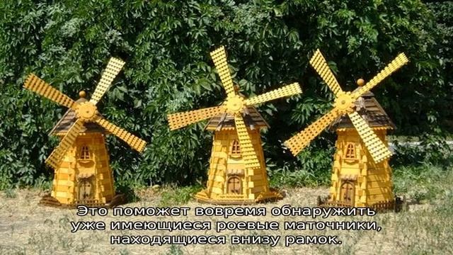 Рогатый улей