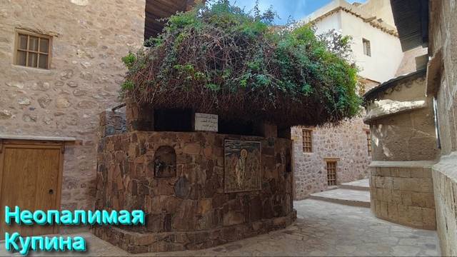 Ответы на Вопросы по Эзотерике от 09.09.25 Часть 7 смотреть онлайн