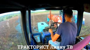 6 ТРАКТОРОВ в ПОЛЕ: МТЗ | 82.1 | 82 | 80  Т25  ПОСАДКА ПОМИДОРОВ