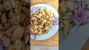 Как вкусно приготовить грибы дождевики или «дедушкин ?