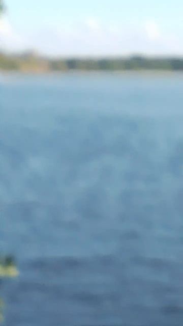 Травинки на ветру смотреть онлайн