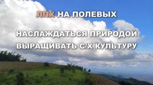 ИЖС, ЛПХ, СНТ, ДНП - Что можно делать с этими землями, а ч