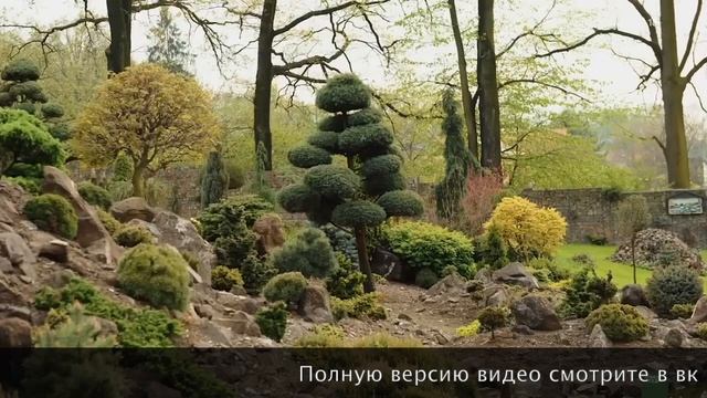 ОБЗОР САДА ИГОРЯ УСПЕНСКОГО — ТИЗЕР смотреть онлайн