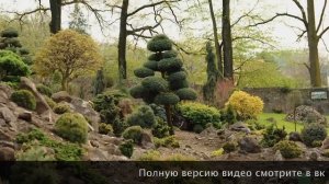 ОБЗОР САДА ИГОРЯ УСПЕНСКОГО — ТИЗЕР