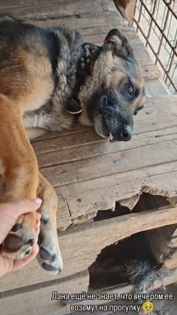 День помощи, помогите не потерять временный дом