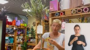 Комнатное растение Оливковое дерево { СУРДОПЕРЕВОД } к