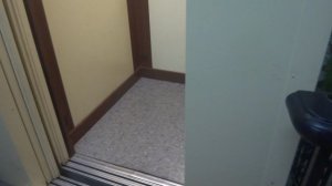 Пассажирский лифт V=1 м-с, Q=400 кг (5059), музыкальный лифт Мослифт