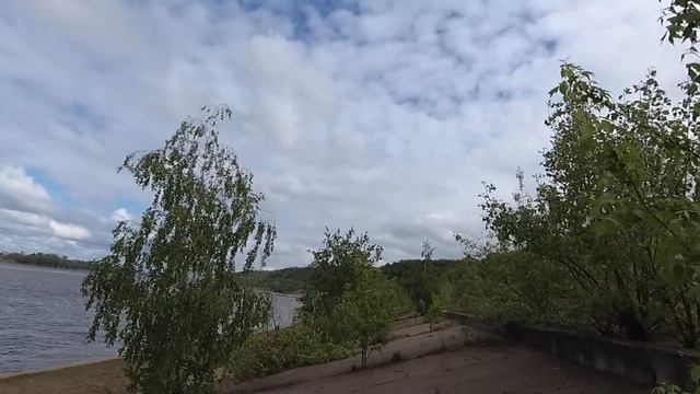 Удивительные растения, жизнь в бетоне