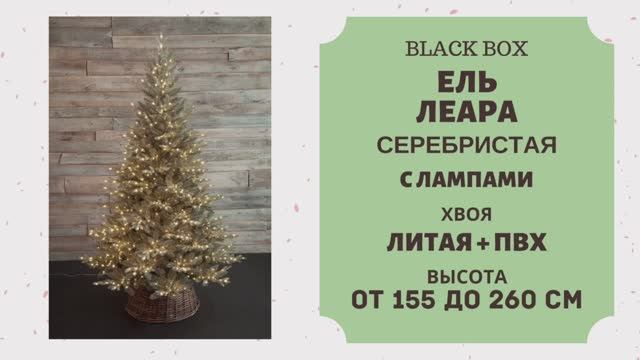 Black Box - ОБЗОР искусственной ели Леара серебристая с лампами смотреть онлайн