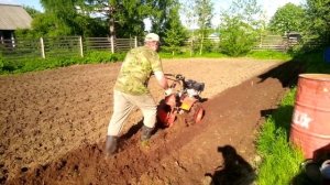 Сажаем картофель под мотоблок)))