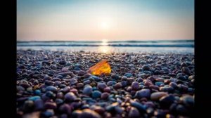 Мой Калининград