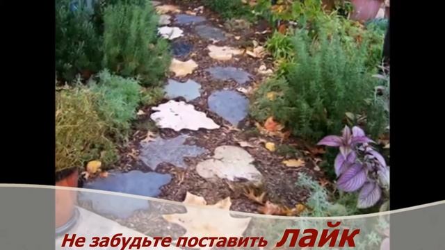 Дорожки на дачу