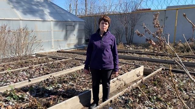 Весенние секреты выращивания садовой земляники. Школ?