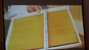 16 рамочный улей. Содержание пчел